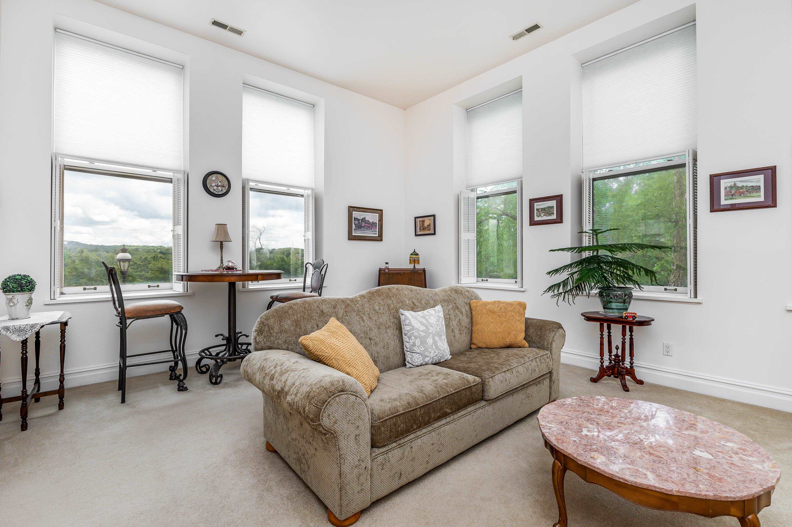 411 South Prospect Street, Unit 204 Galena, IL 61036 - Photo 3 of 18 a living room with furniture and a large window