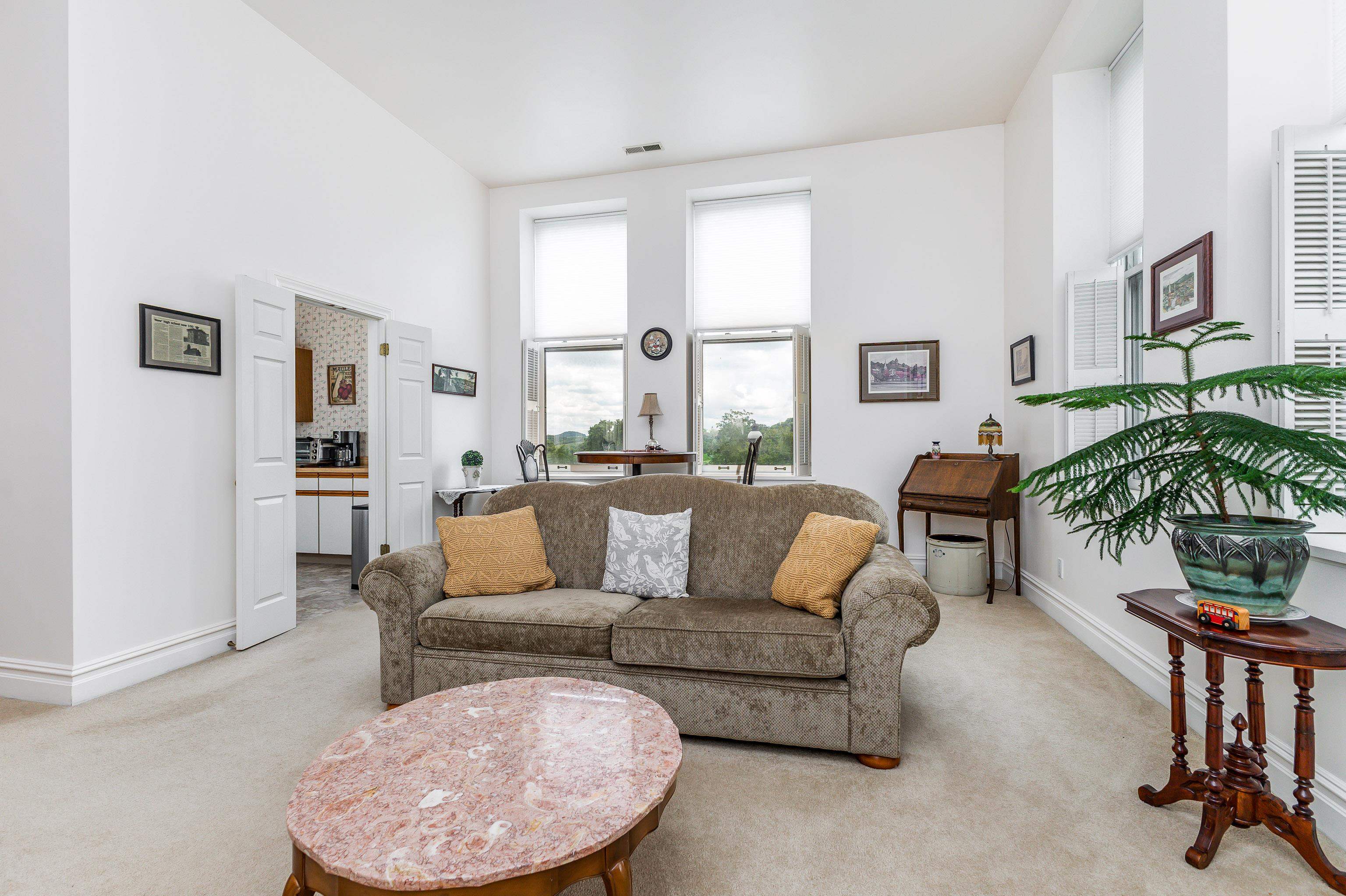411 South Prospect Street, Unit 204 Galena, IL 61036 - Photo 4 of 18 a living room with furniture and a potted plant