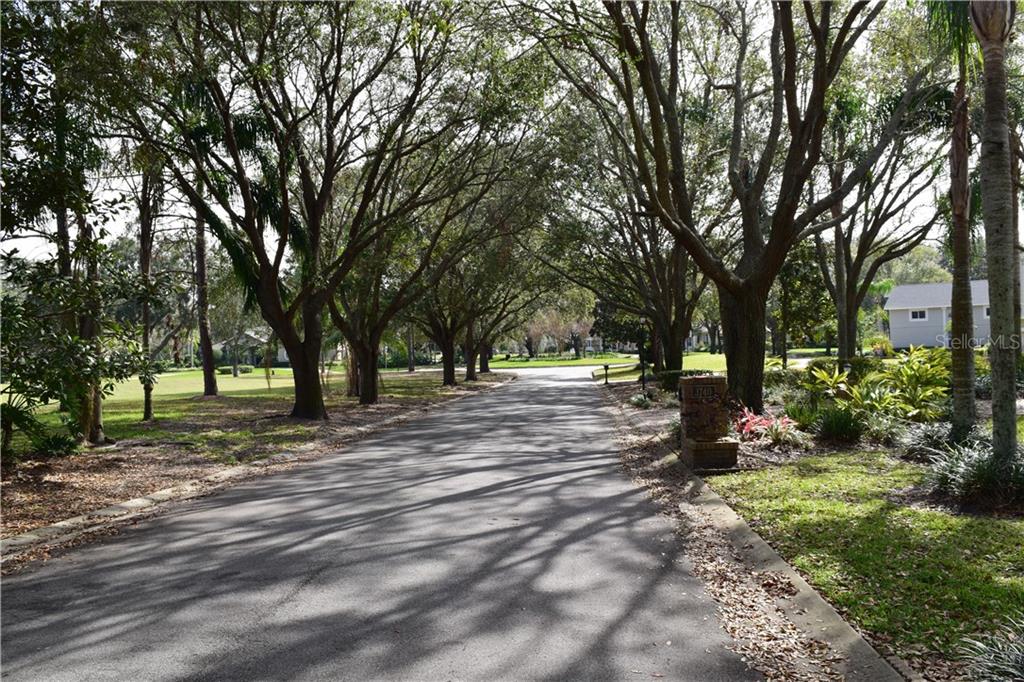 10365 Birch Tree Lane Windermere, FL 34786 - Photo 1 of 1 a view of outdoor space with trees