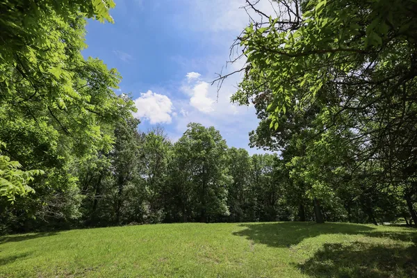 $38,500 | 410 North Kruse Road, Mount Zion, IL 62549