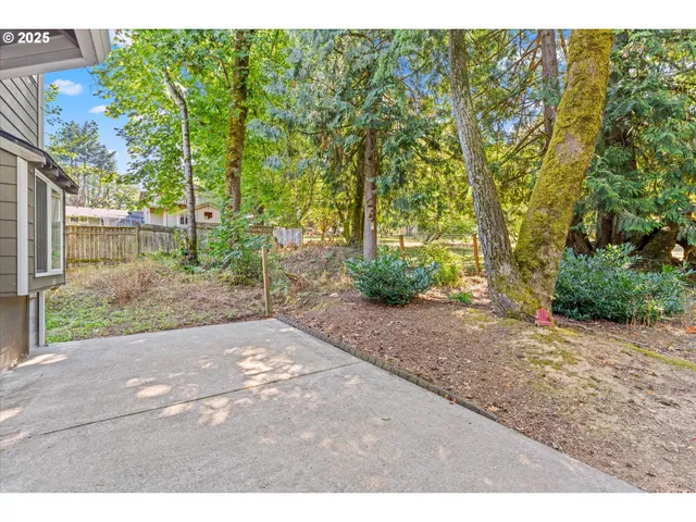 a view of backyard of the house