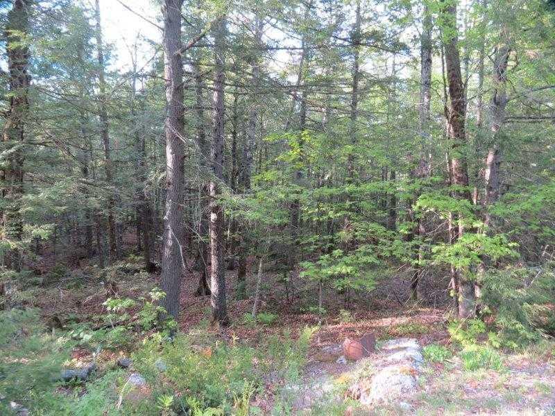 402 Burnham Road Bridgton, ME 04009 - Photo 2 of 8 Land/Lot.