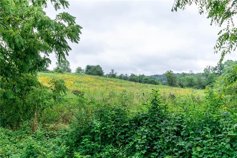 0 Bankhead Road Smithfield, PA 15478 - Photo 1 of 2