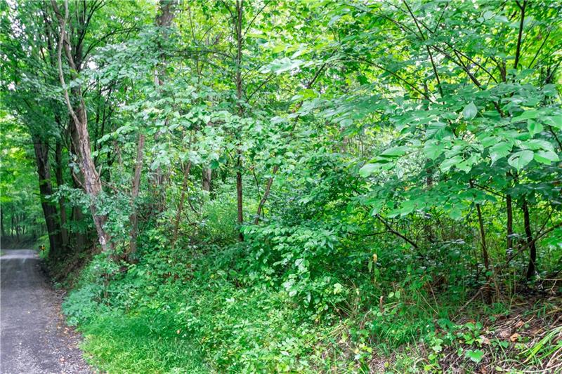 0 Bankhead Road Smithfield, PA 15478 - Photo 2 of 2