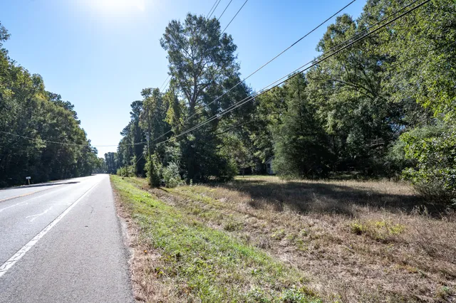a view of a yard with plants and trees