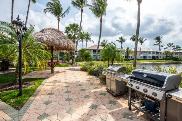 a palm tree sitting in front of a palm tree