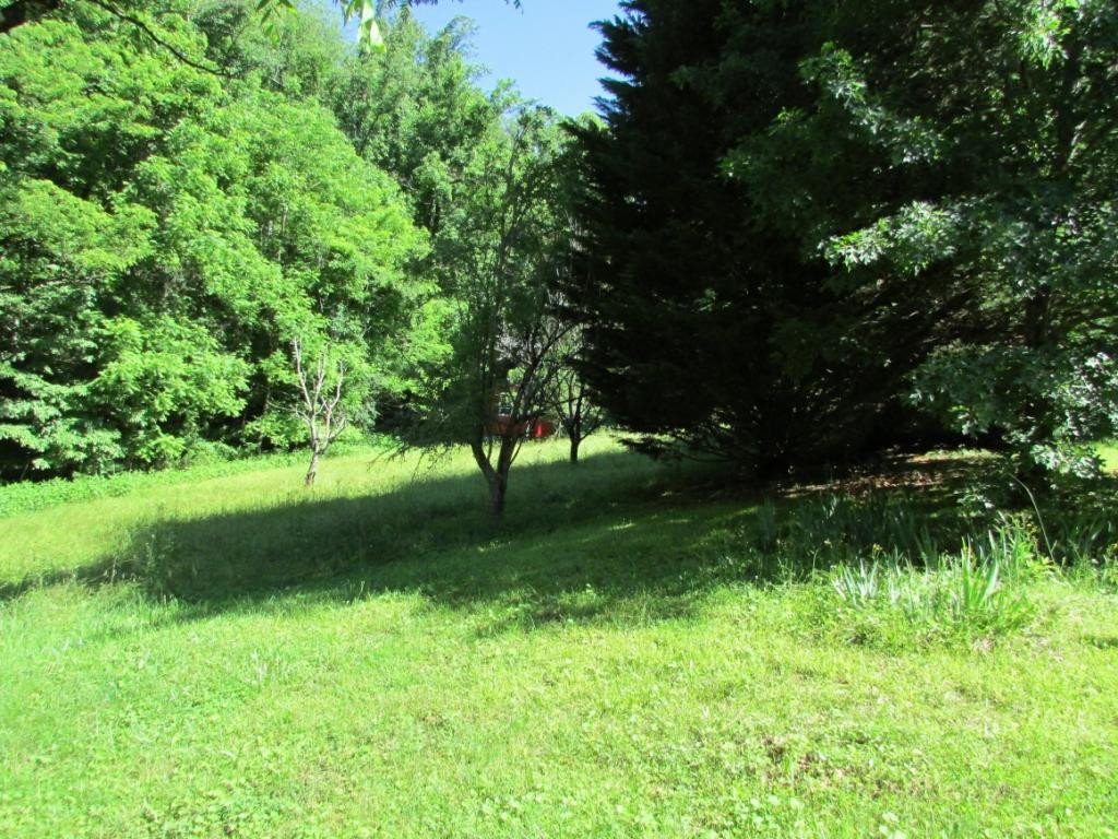 259 Rome Hollow Road Elizabethton, TN 37643 - Photo 21 of 30 Photo 21