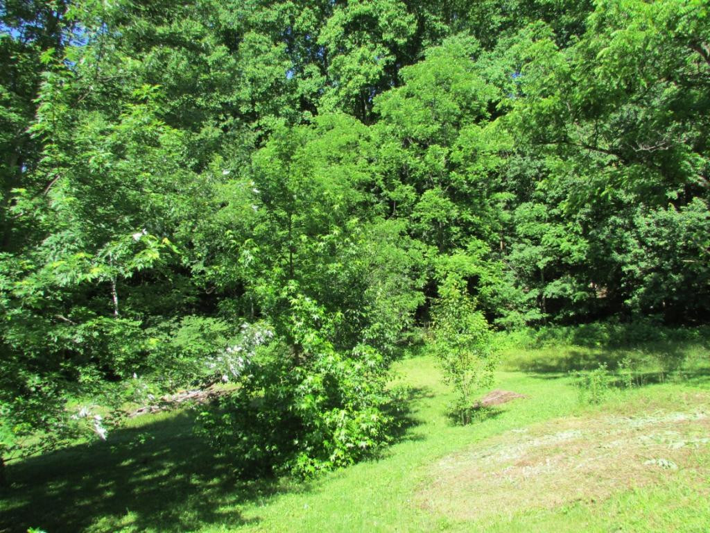 259 Rome Hollow Road Elizabethton, TN 37643 - Photo 24 of 30 Photo 24