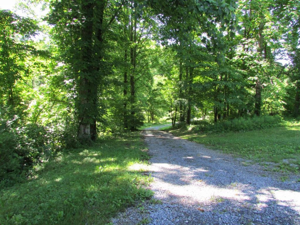 259 Rome Hollow Road Elizabethton, TN 37643 - Photo 26 of 30 Photo 26