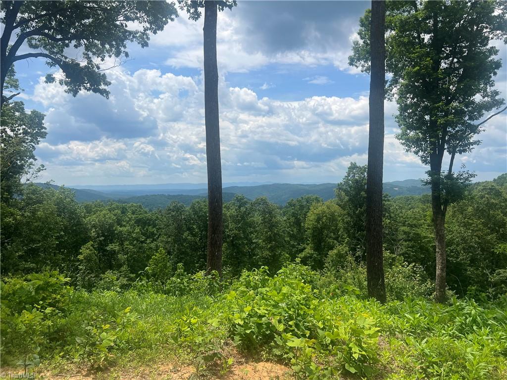 Tbd Wilderness Road Hays, NC 28635 - Photo 12 of 15