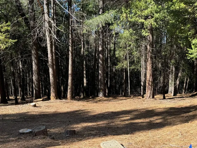 a view of a building with trees