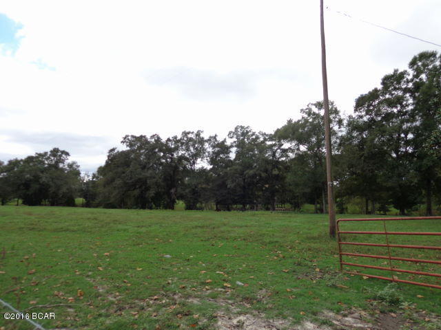 745 Braswell Road Grand Ridge, FL 32442 - Photo 20 of 100 Gallery Image 20