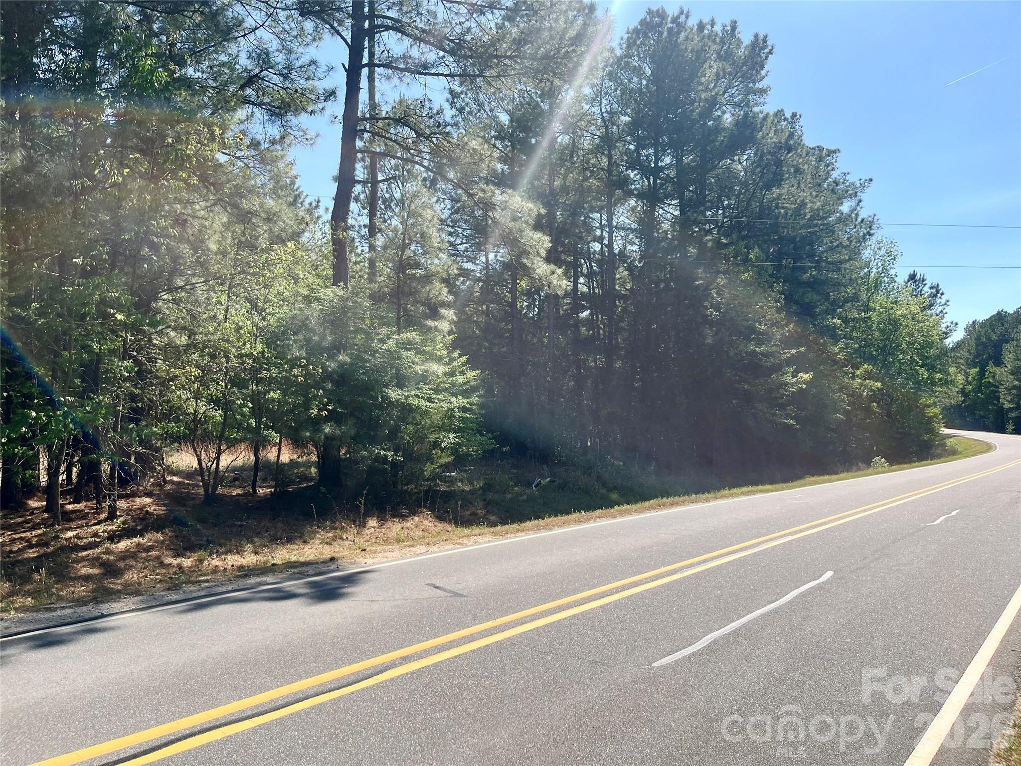 0 White Store Road Polkton, NC 28135 - Photo 2 of 6