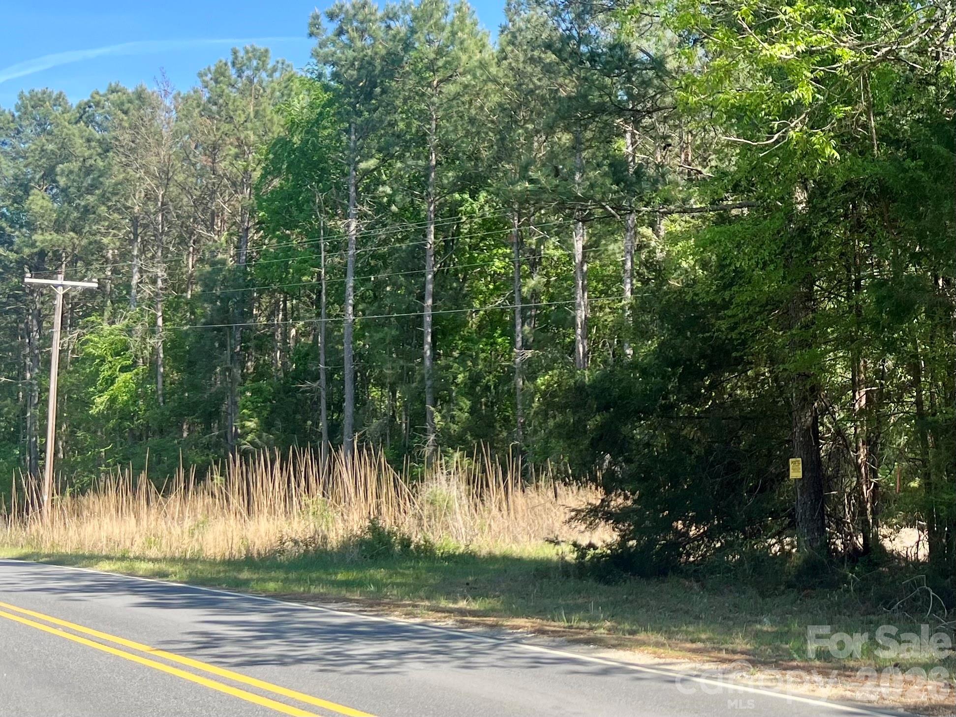 0 White Store Road Polkton, NC 28135 - Photo 3 of 6