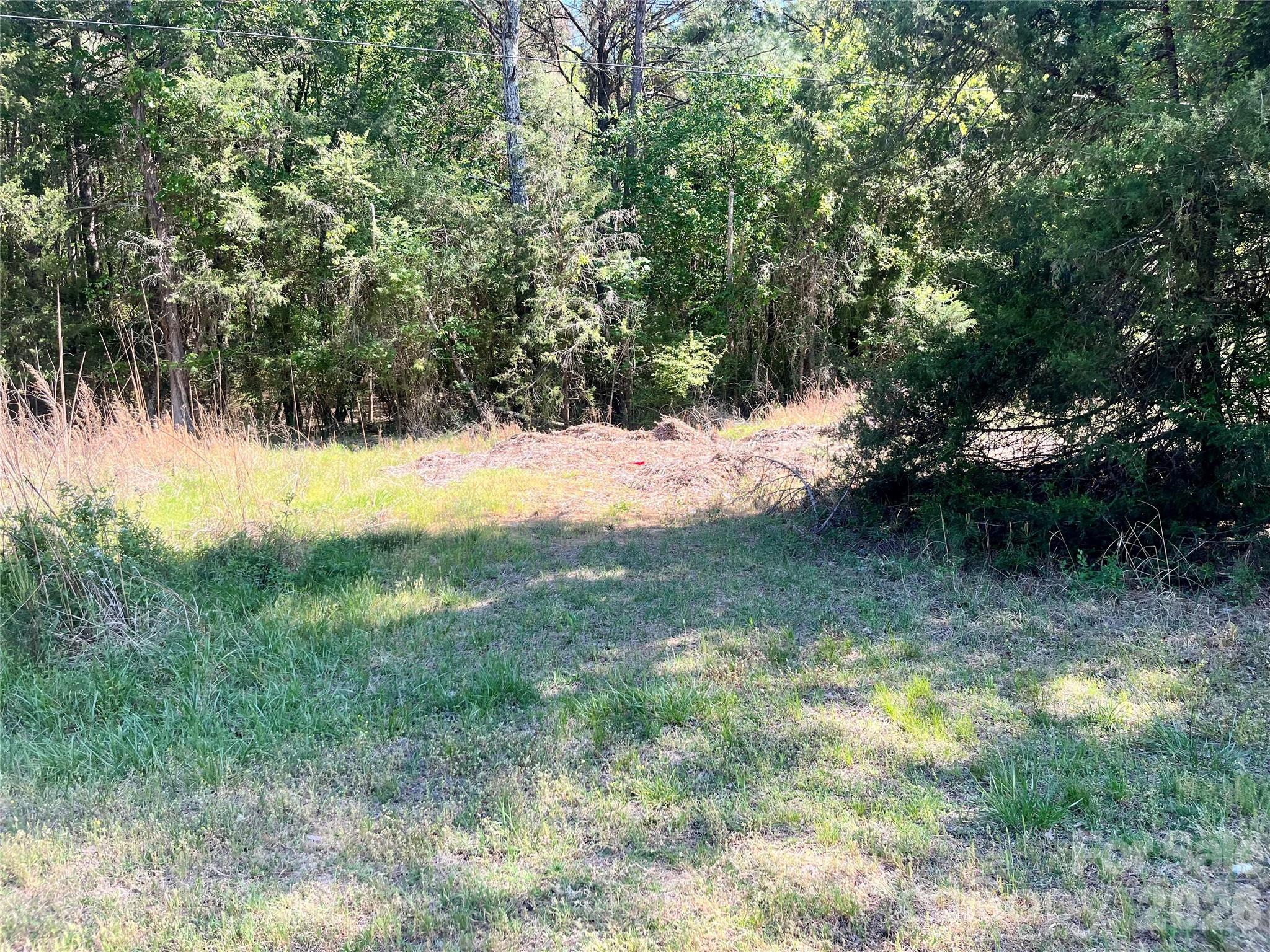 0 White Store Road Polkton, NC 28135 - Photo 4 of 6