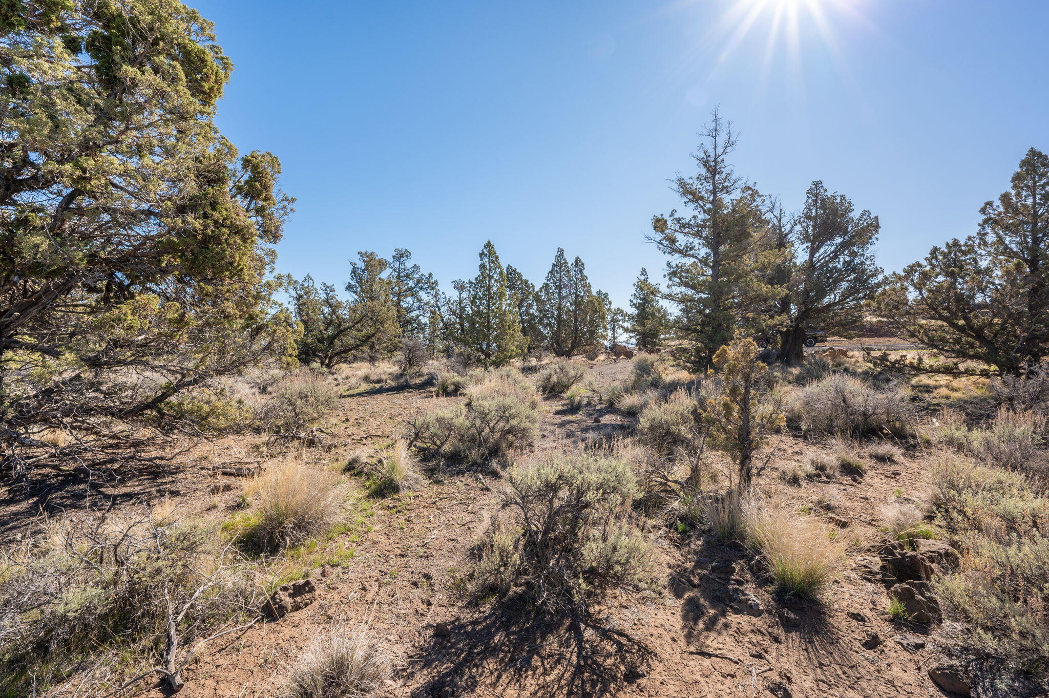 19040 Dusty Loop Bend, OR 97703 - Photo 22 of 27