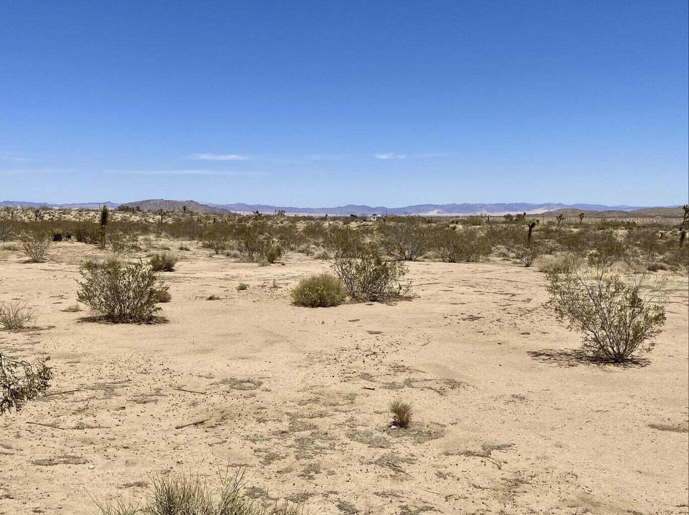 205 Old Woman Springs Road Yucca Valley, CA 92284 - Photo 14 of 33 a view of ocean view and mountain
