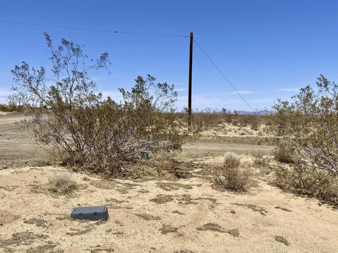 205 Old Woman Springs Road Yucca Valley, CA 92284 - Photo 18 of 33 a view of a yard with a tree