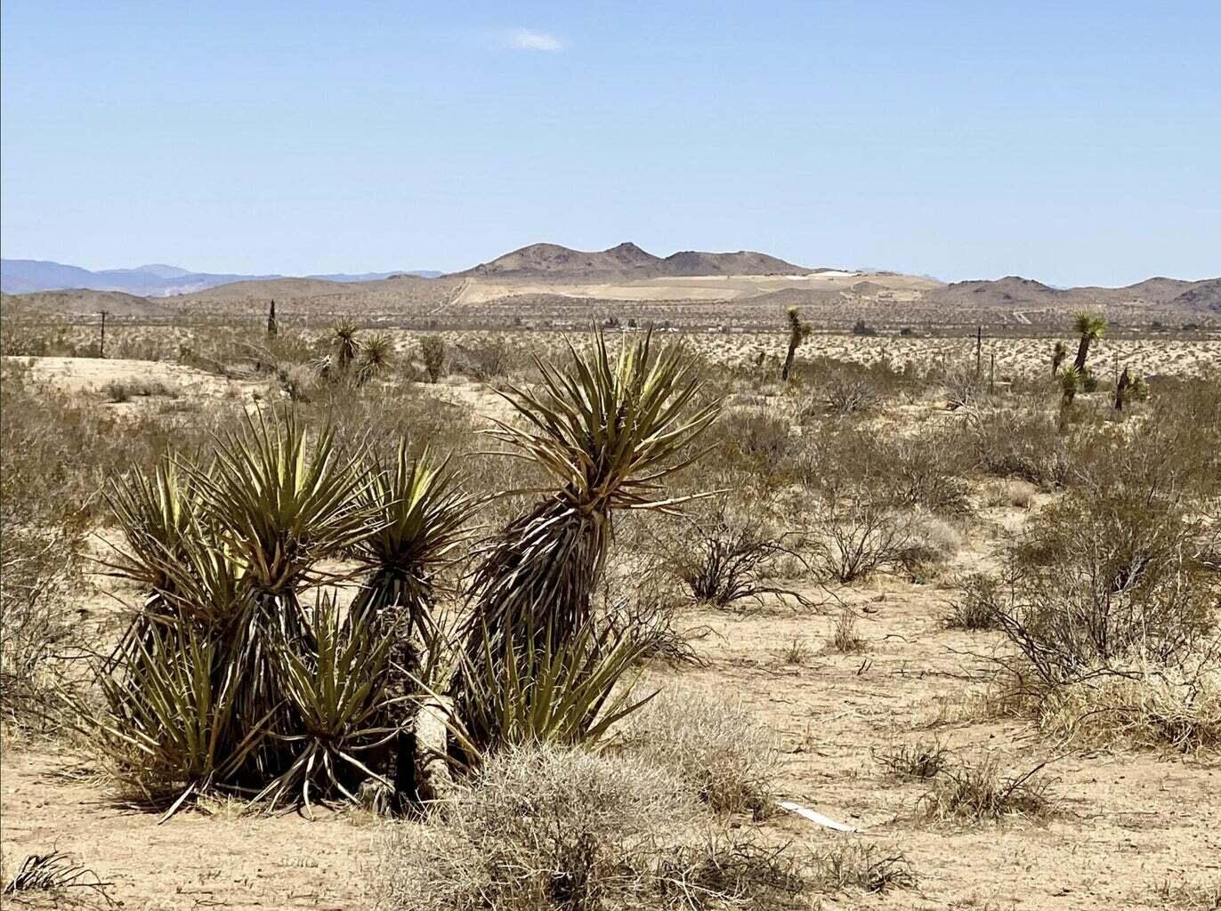 205 Old Woman Springs Road Yucca Valley, CA 92284 - Photo 24 of 33 a view of a lake with mountains in the background