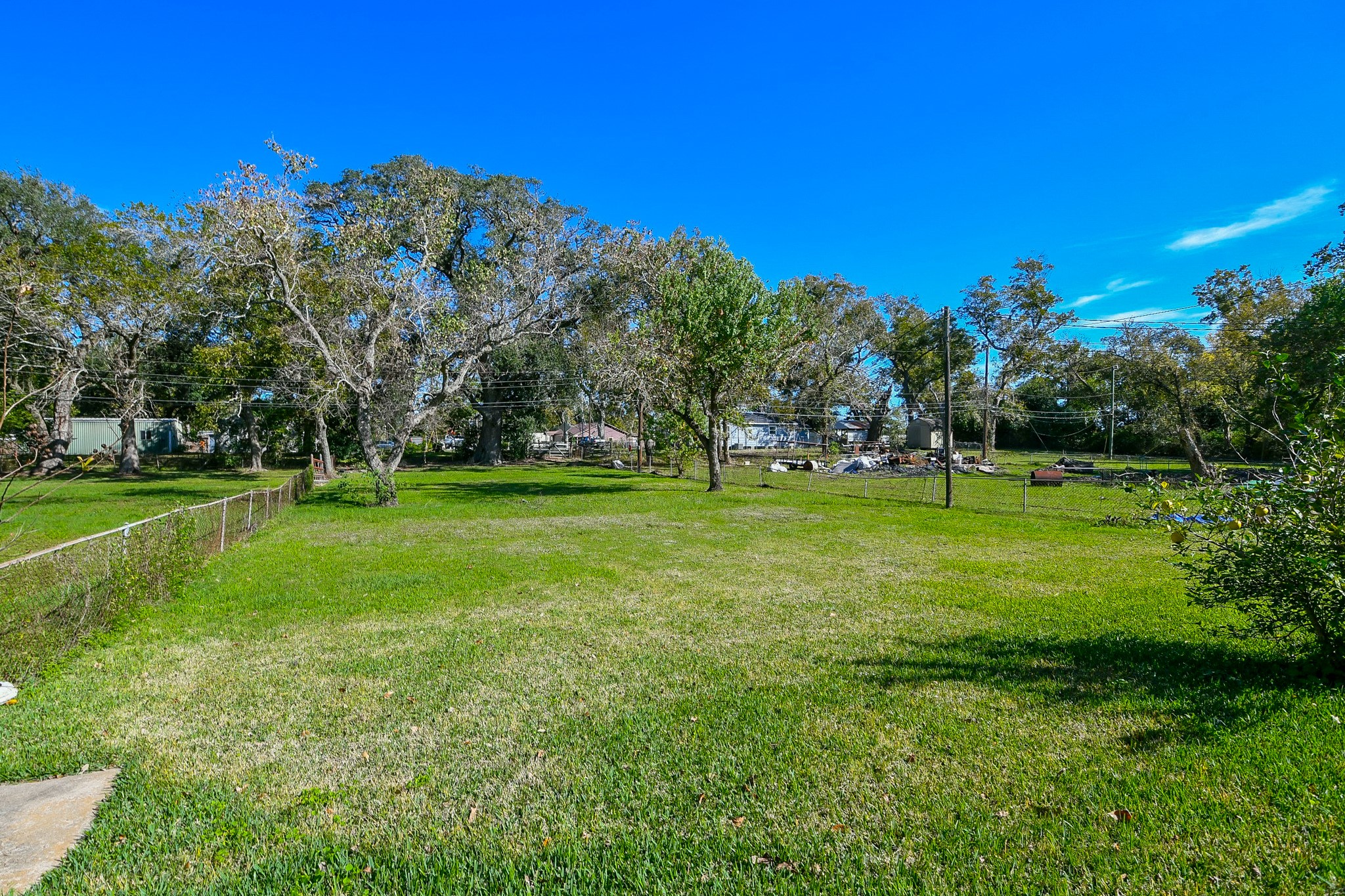 129 Cannon Street Clute, TX 77531 - Photo 27 of 28 a view of a park with large trees