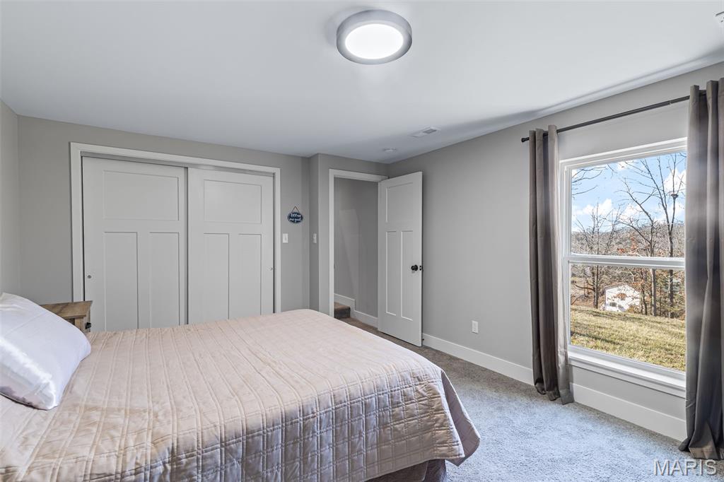 417 Rue Martel Bonne Terre, MO 63628 - Photo 37 of 61