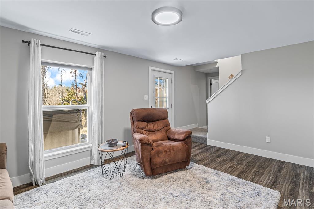 417 Rue Martel Bonne Terre, MO 63628 - Photo 39 of 61