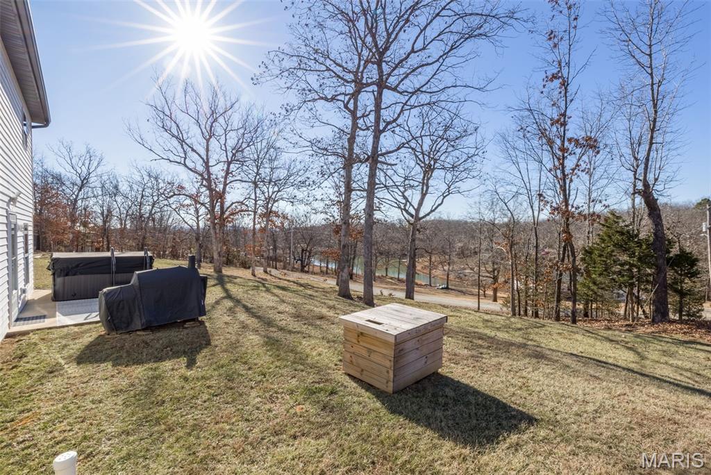 417 Rue Martel Bonne Terre, MO 63628 - Photo 53 of 61