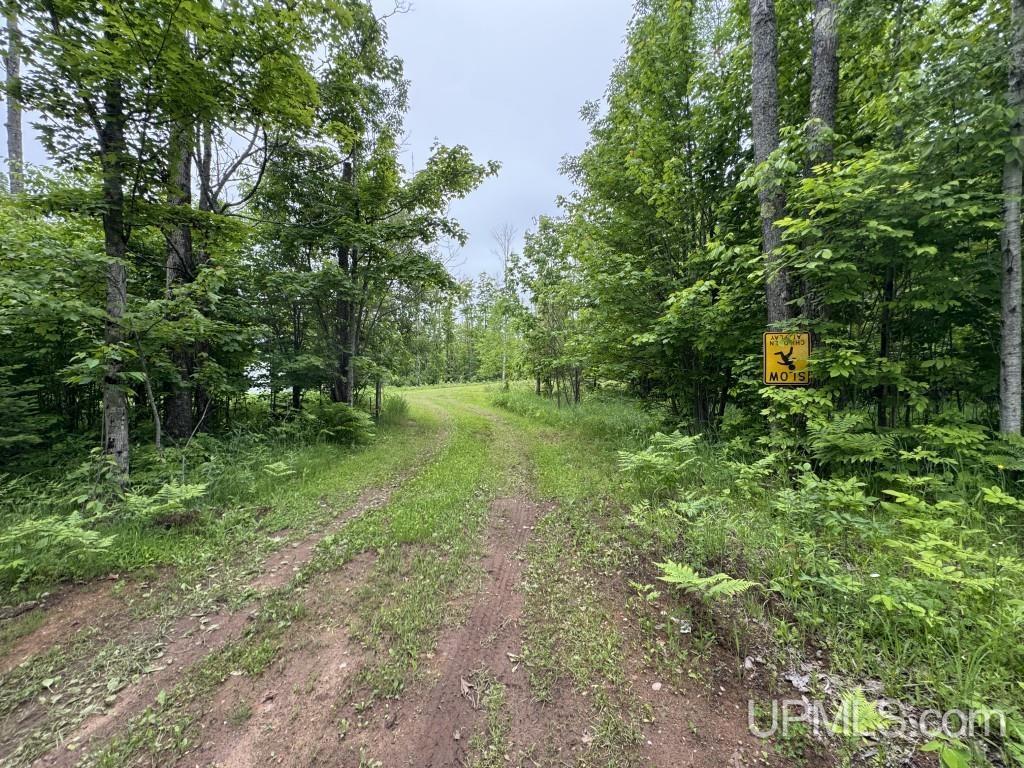 13318 Cadeau Road Baraga, MI 49908 - Photo 6 of 16