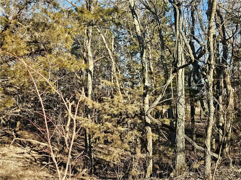 31881 Northwest Barton Road Garnett, KS 66032 - Photo 23 of 69