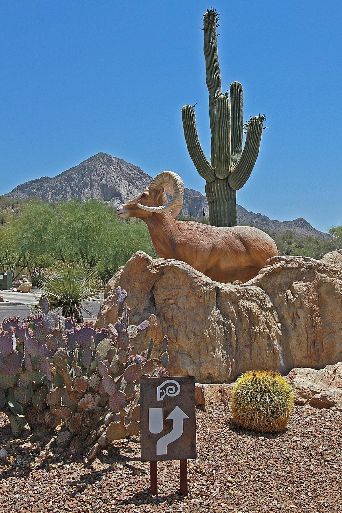 1909 East Buck Ridge Place Tucson, AZ 85737 - Photo 43 of 44