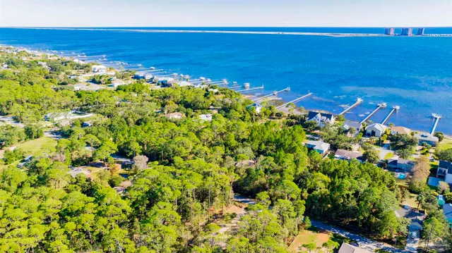 a view of a large trees