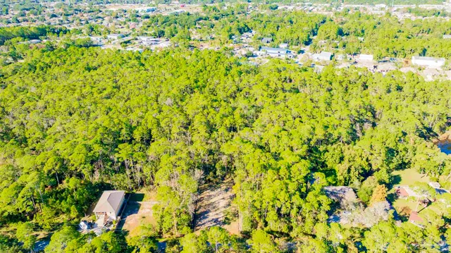 a view of a tree with a background