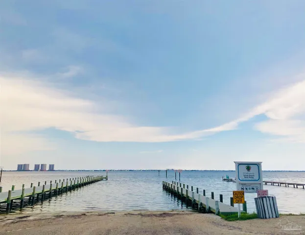 a view of a bunch of trees and bushes