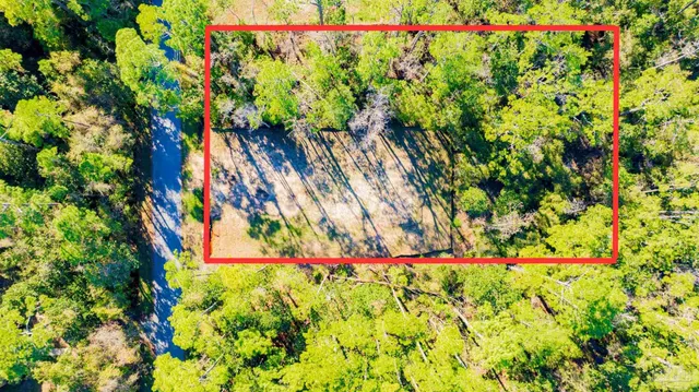 a view of a flower in a garden