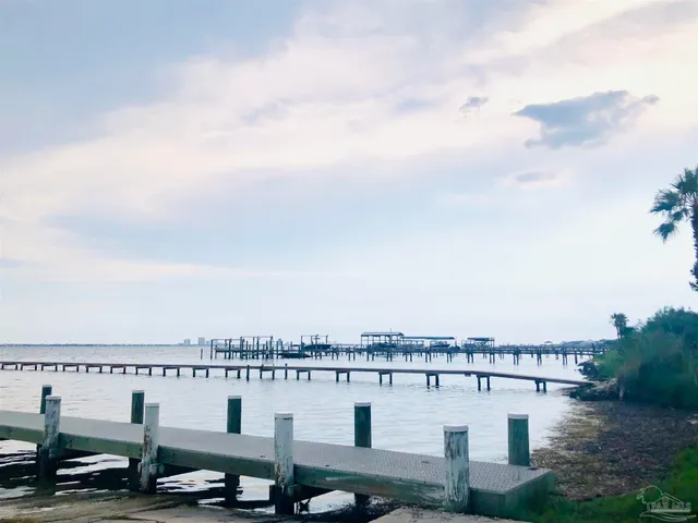 a view of a bunch of flowers