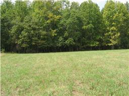 1 Powell Chapel Road Pulaski, TN 38478 - Photo 1 of 2