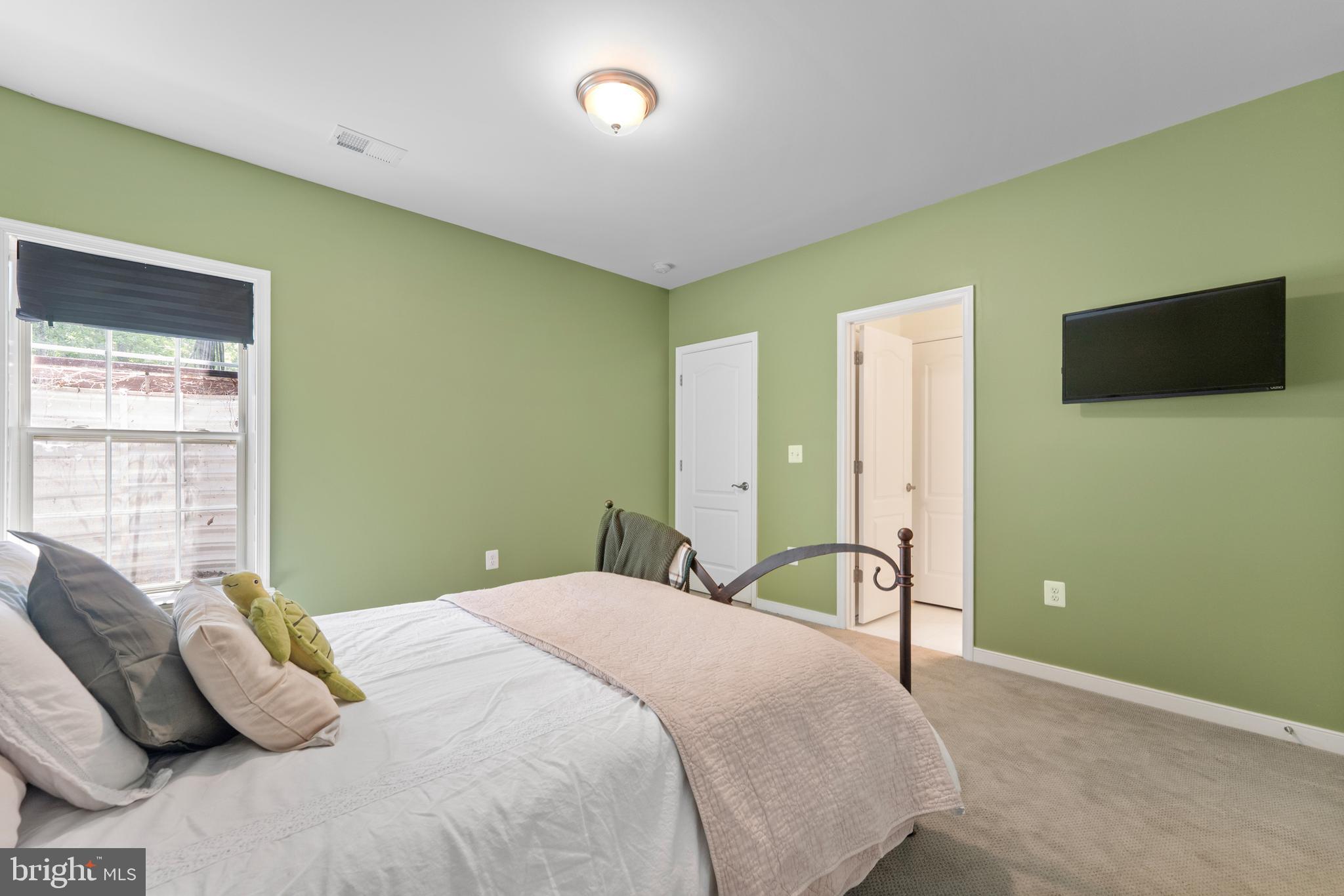80 Shackelford Well Road Fredericksburg, VA 22406 - Photo 74 of 108 Bedroom 6 lower level