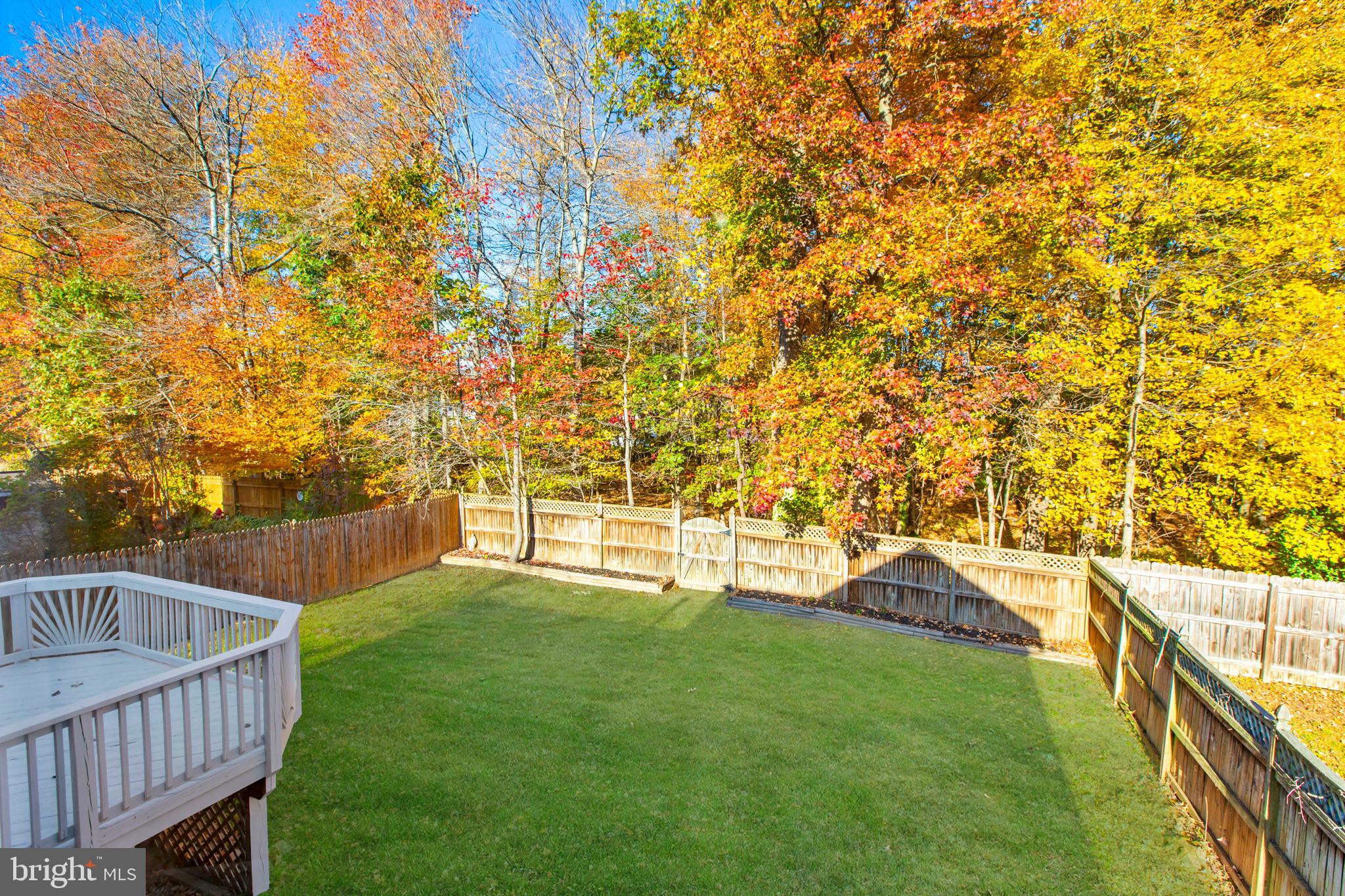 2826 Profitt Path Edgewood, MD 21040 - Photo 44 of 50 a view of a deck with a big yard
