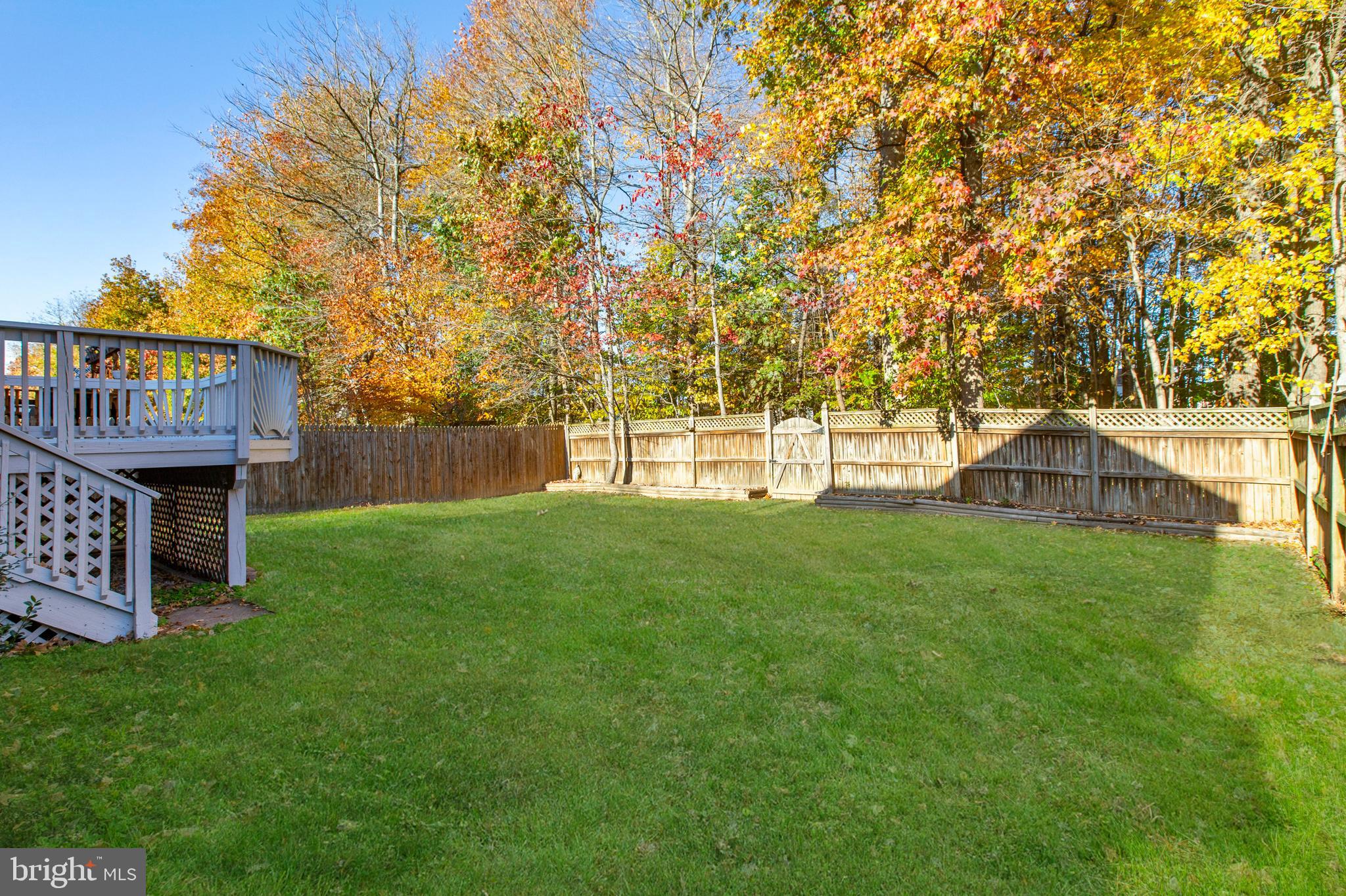 2826 Profitt Path Edgewood, MD 21040 - Photo 45 of 50 a view of a house with a backyard and a tree