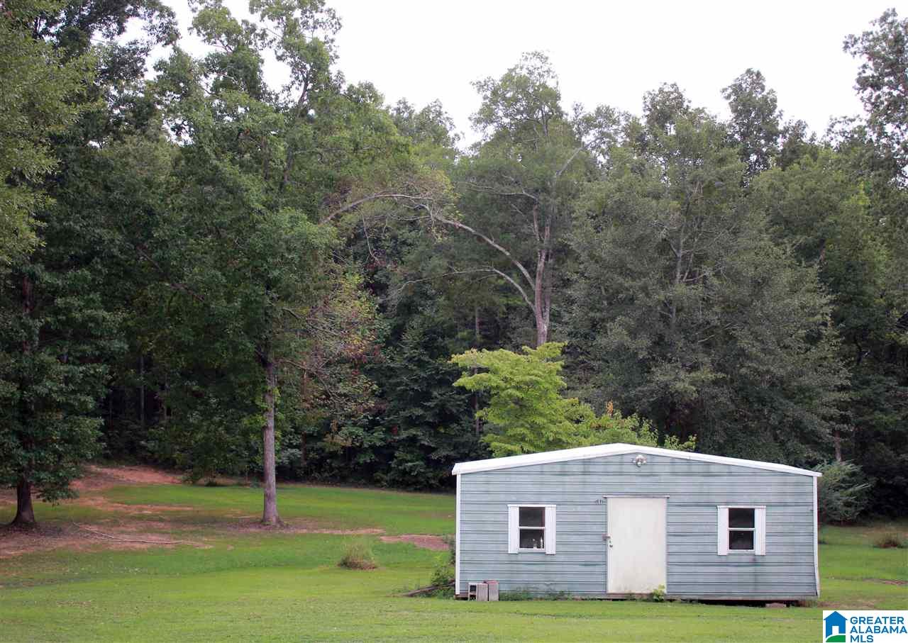 221 Friendship Drive Springville, AL 35146 - Photo 4 of 29