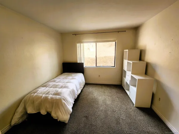 a view of backyard with outdoor seating and plants