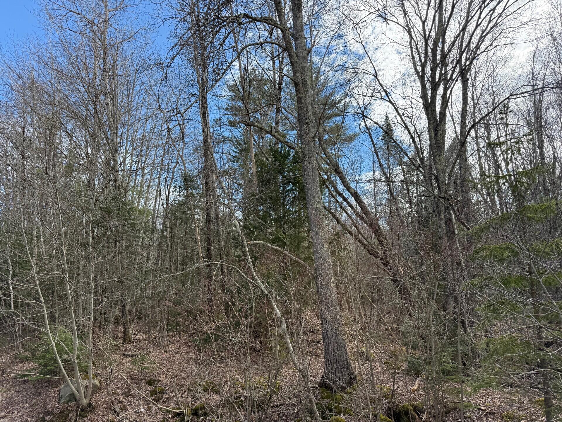 872 Winslows Mills Road Waldoboro, ME 04572 - Photo 3 of 4 e19b4441-c99e-4079-946a-a543de335d6b