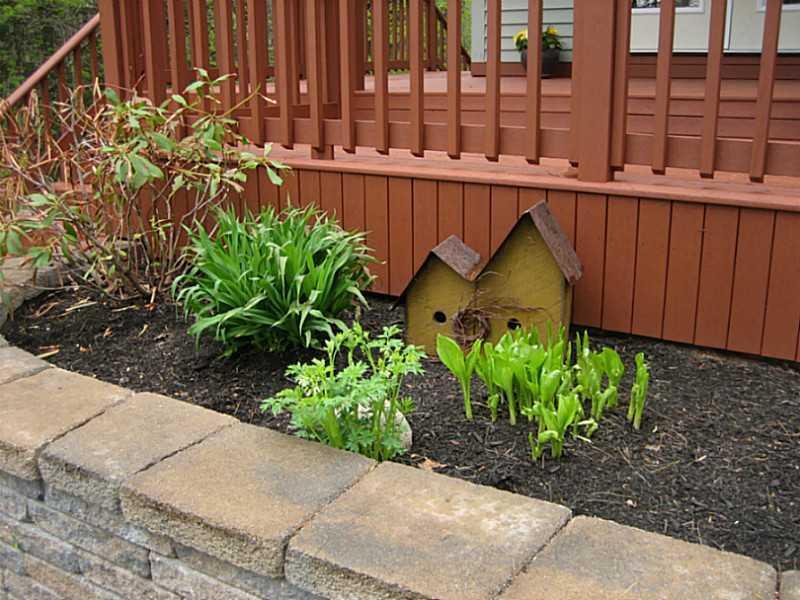 70 Country Club Road Hollis Center, ME 04042 - Photo 19 of 22 Yard/Garden.