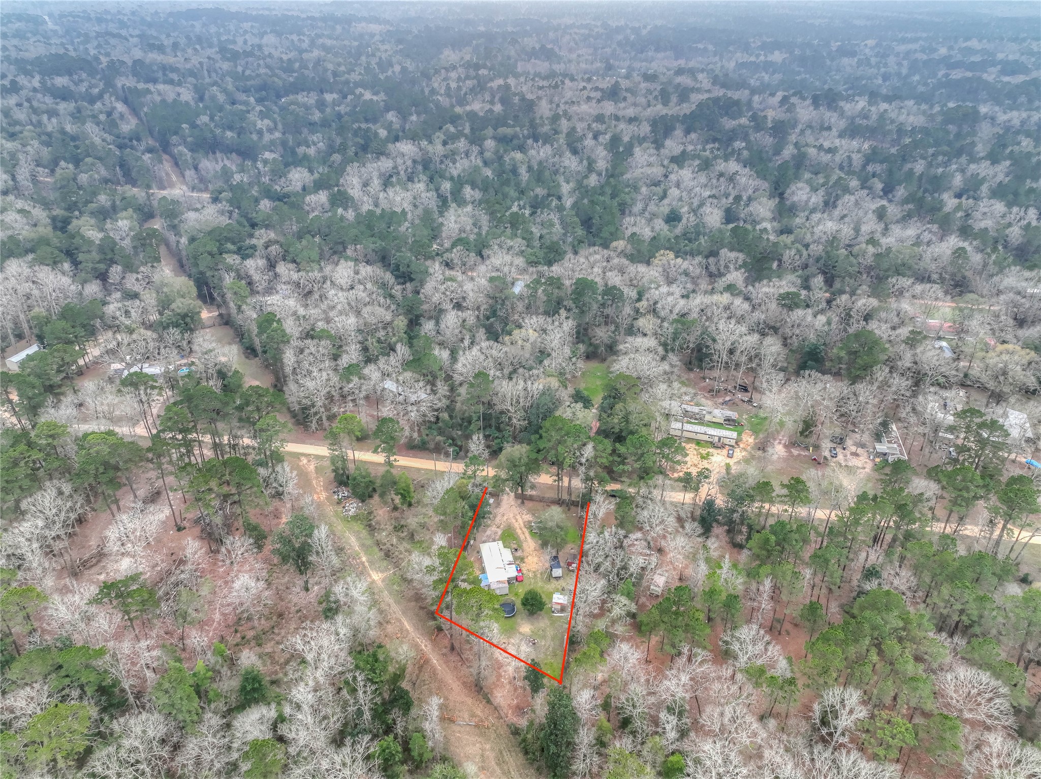 713 Garrett Road Livingston, TX 77351 - Photo 38 of 40 a view of a forest with a tree