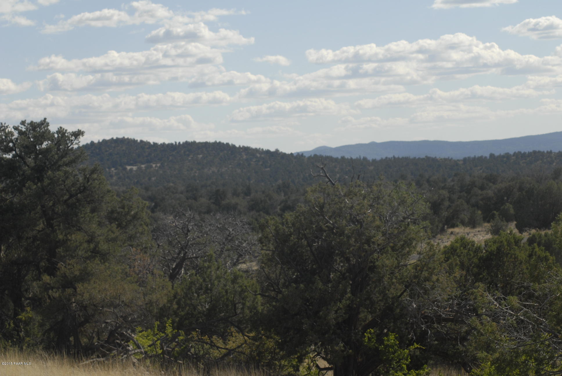 5500 West Rambling Road Prescott, AZ 86305 - Photo 9 of 16 an aerial view of houses covered in trees