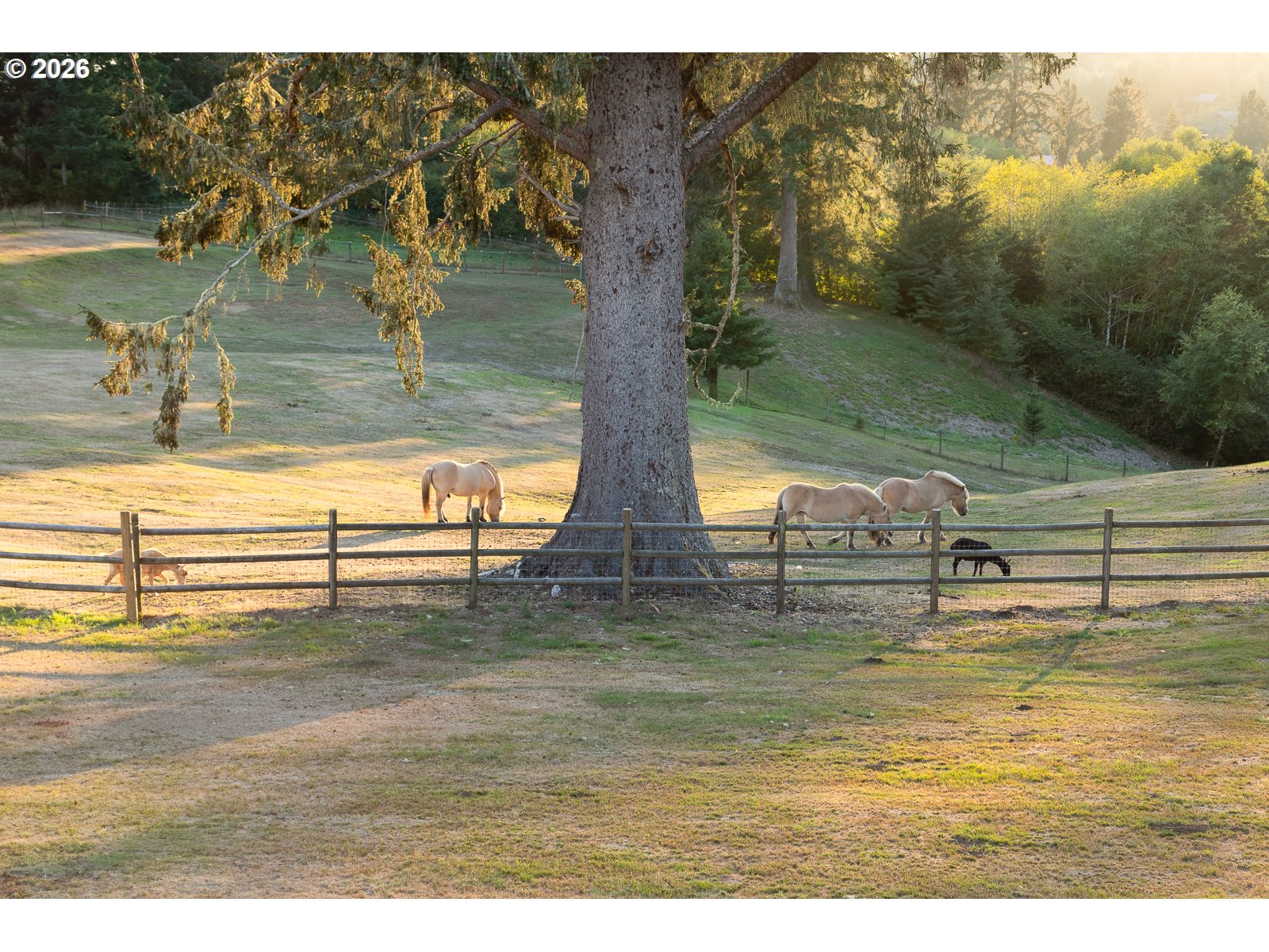 6905 Northeast Highland Road Otis, OR 97368 - Photo 8 of 48