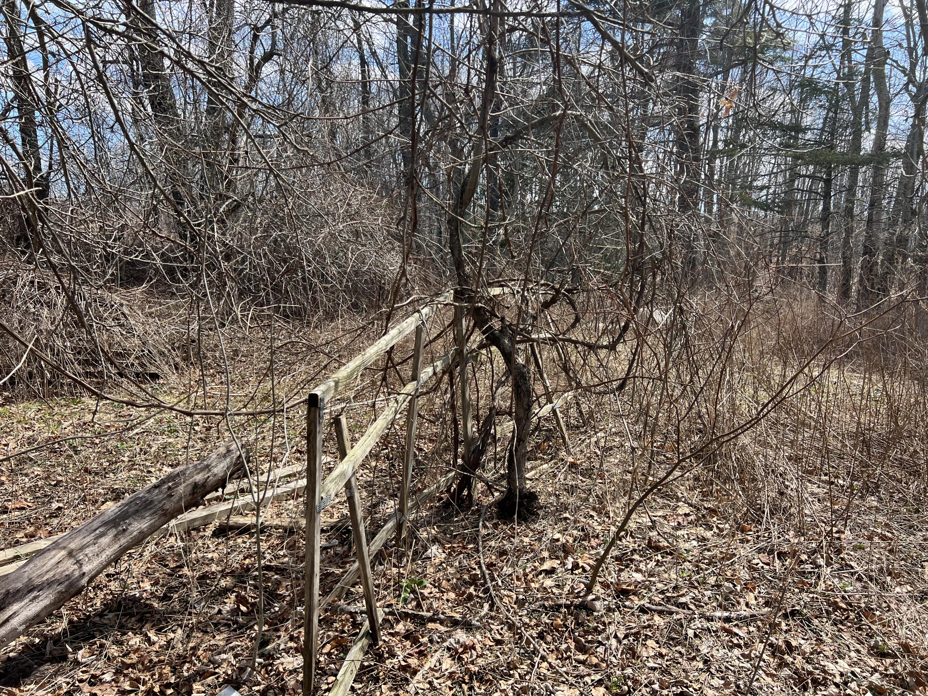 87 Monroe Highway Brooks, ME 04921 - Photo 29 of 39 IMG_8598