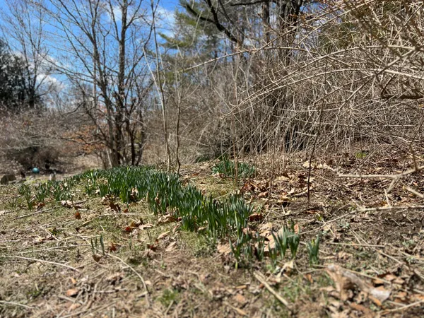 $155,000 | 87 Monroe Highway, Brooks, ME 04921