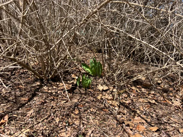 $155,000 | 87 Monroe Highway, Brooks, ME 04921