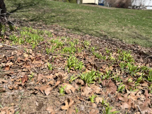 $155,000 | 87 Monroe Highway, Brooks, ME 04921